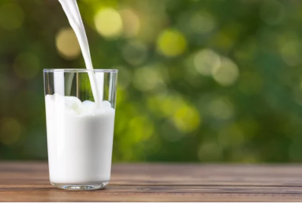 멸균우유와 일반우유 차이