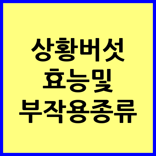 상황버섯 효능