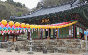  전국 아름다운 사찰 BEST 6곳 부처님오신날 꼭 가봐야할곳