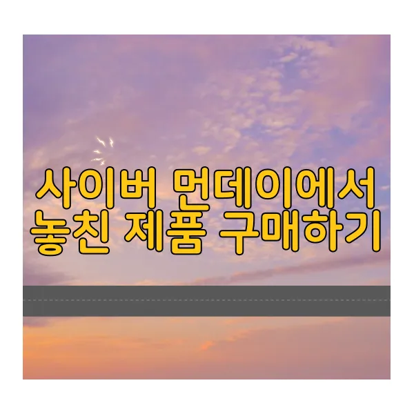 2024년 블랙프라이데이 세일 일정, 기간 혜택