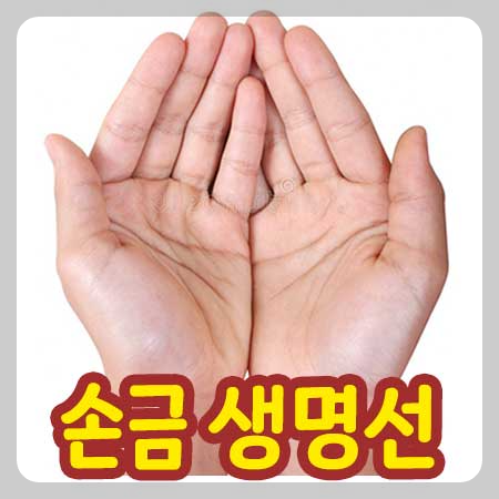 생명선 손금 보는법 썸네일