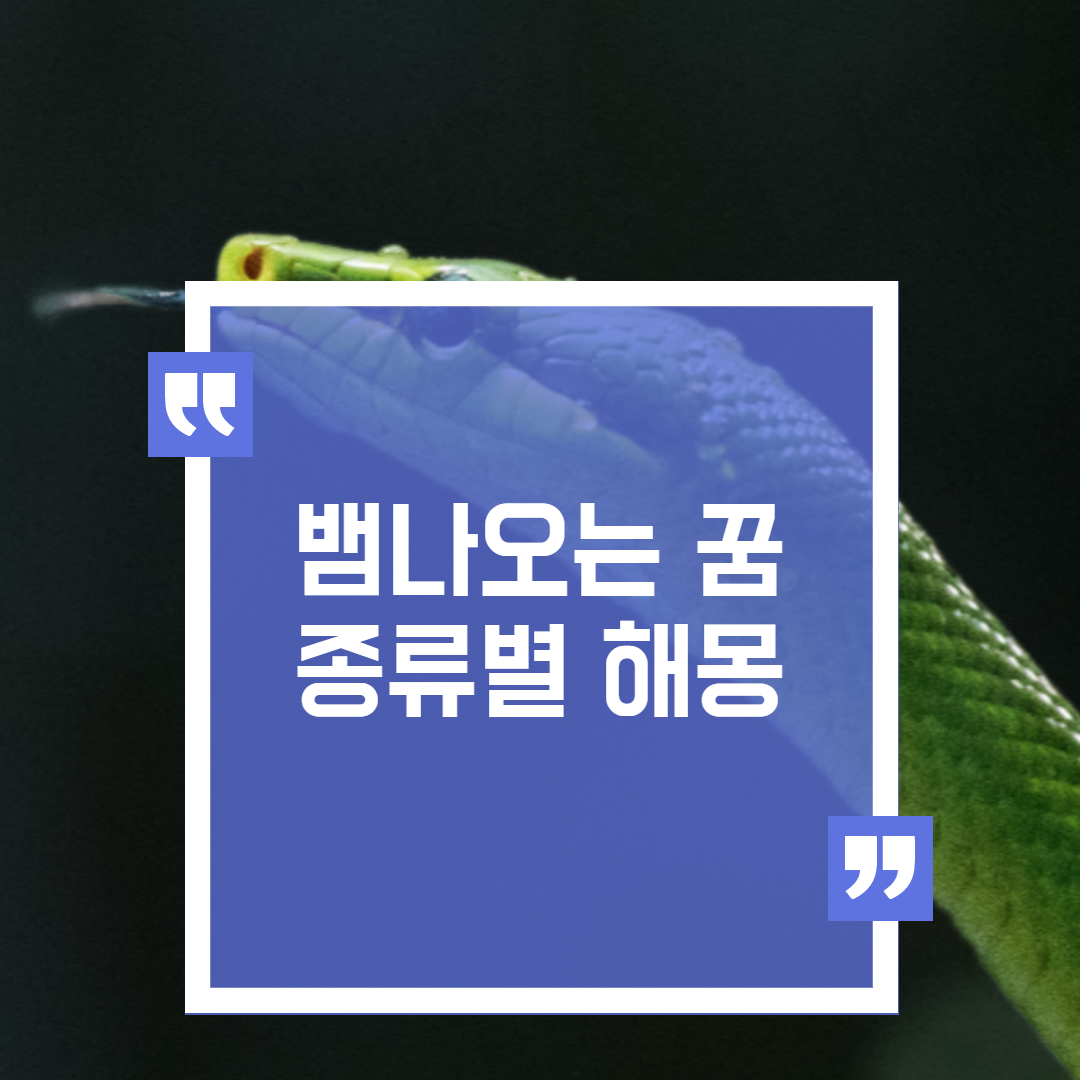  뱀 나오는 꿈 해몽 큰뱀이나온는 꿈 등등 뱀 꿈 해몽을 알아보자
