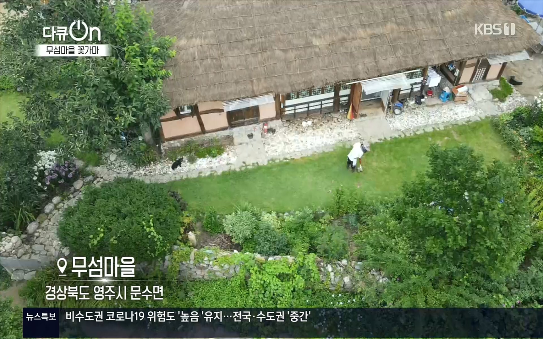 다큐 On.E156.220909p.H264-F1RST.mp4_20220910_191319.117.jpg