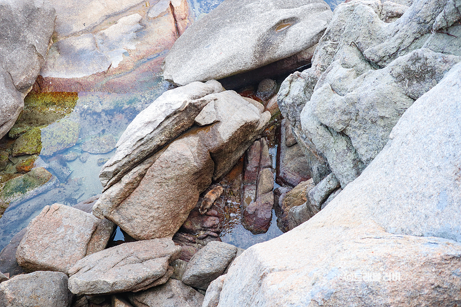 동해바다 볼거리 양양 휴휴암 23