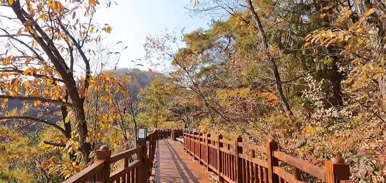 단양강-잔도
