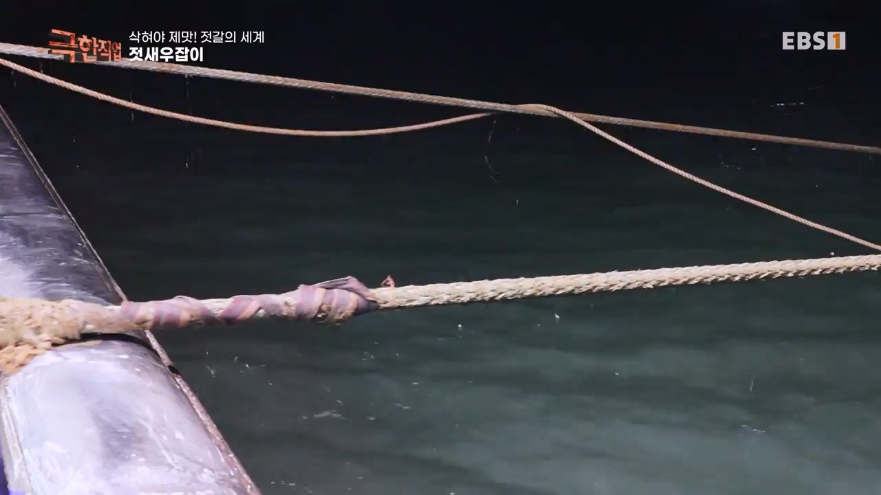 TV - 전 국민의 평생학교 EBS삭혀야 제맛! 젓갈의 세계.mp4_20231125_190843.349.jpg