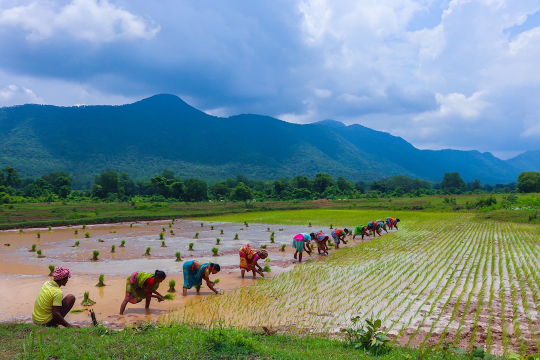 Farmers