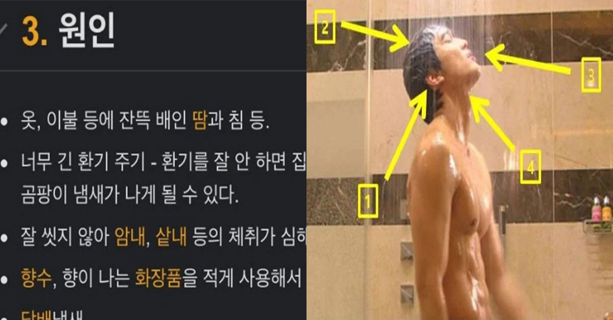  남자들 홀애비 냄새의 원인 중 하나라는데