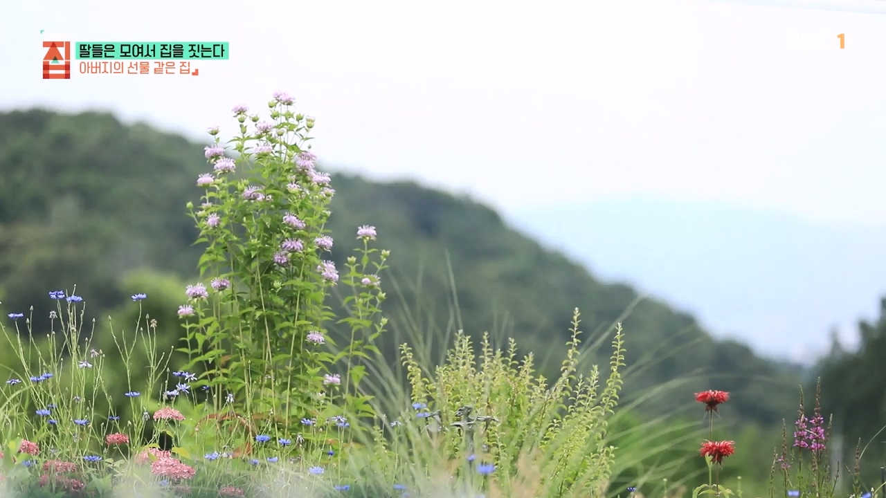 TV - 전 국민의 평생학교 EBS딸들은 모여서 집을 짓는다.mp4_20230825_210338.696.jpg
