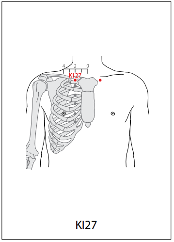 족소음신경(KI) > KI27 유부 (兪府) 1