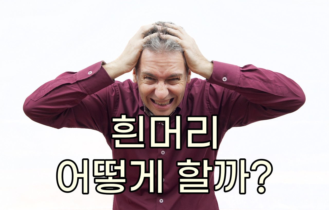 흰머리 뽑으면 안되요! 염색 새치 관리법 해결방법, 고잉그레이