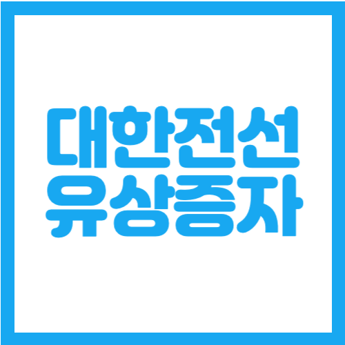 대한전선 유상증자 일정 주가 전망