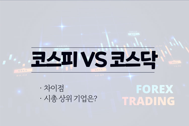  코스피 코스닥 차이점과 시총 순위 기업 정리
