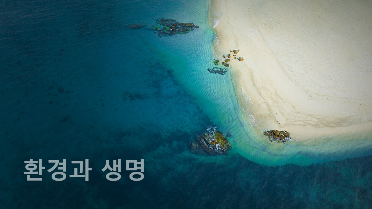 자연엔지니어링(주) 이미지