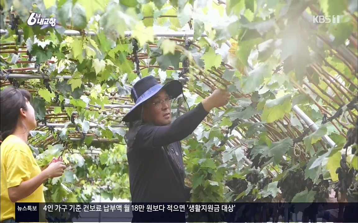 6시 내고향.E7602.220824p.H264-F1RST.mp4_20220825_171308.020.jpg