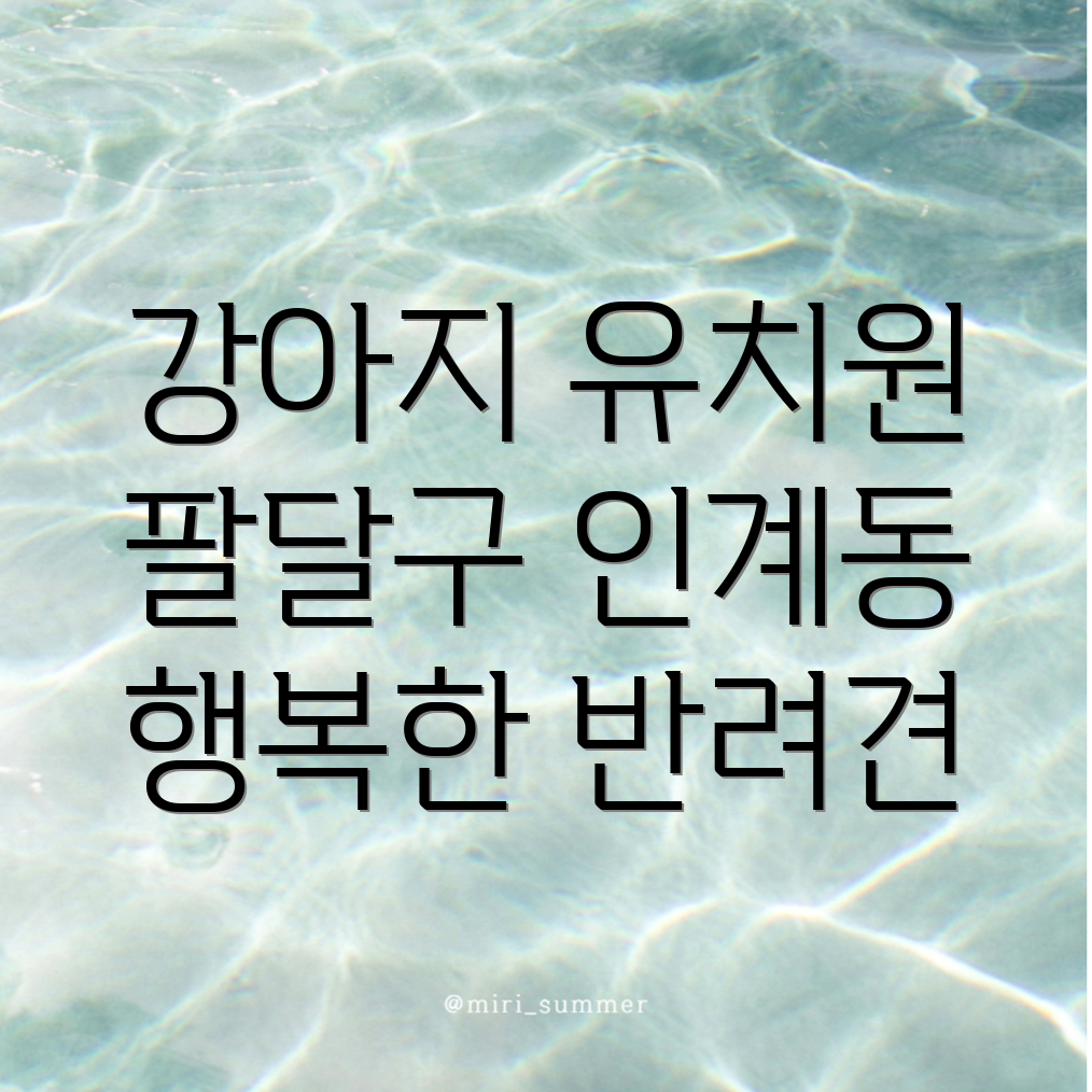 강아지 유치원 비용