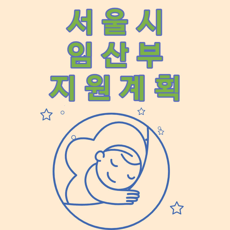  서울시 임산부 지원계획 세부 내용
