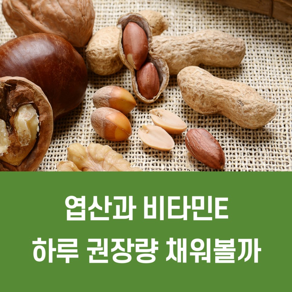 땅콩 칼로리 땅콩 효능 4