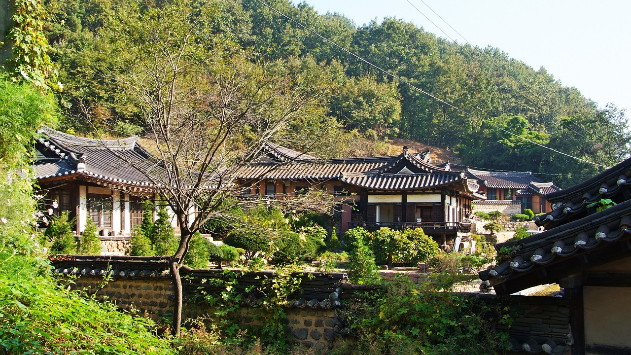안동 관련 이미지