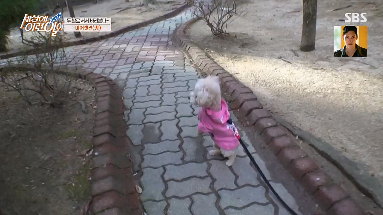 순간포착 세상에 이런일이.E1216.230208p-NEXT.mp4_20230208_194153.991.jpg