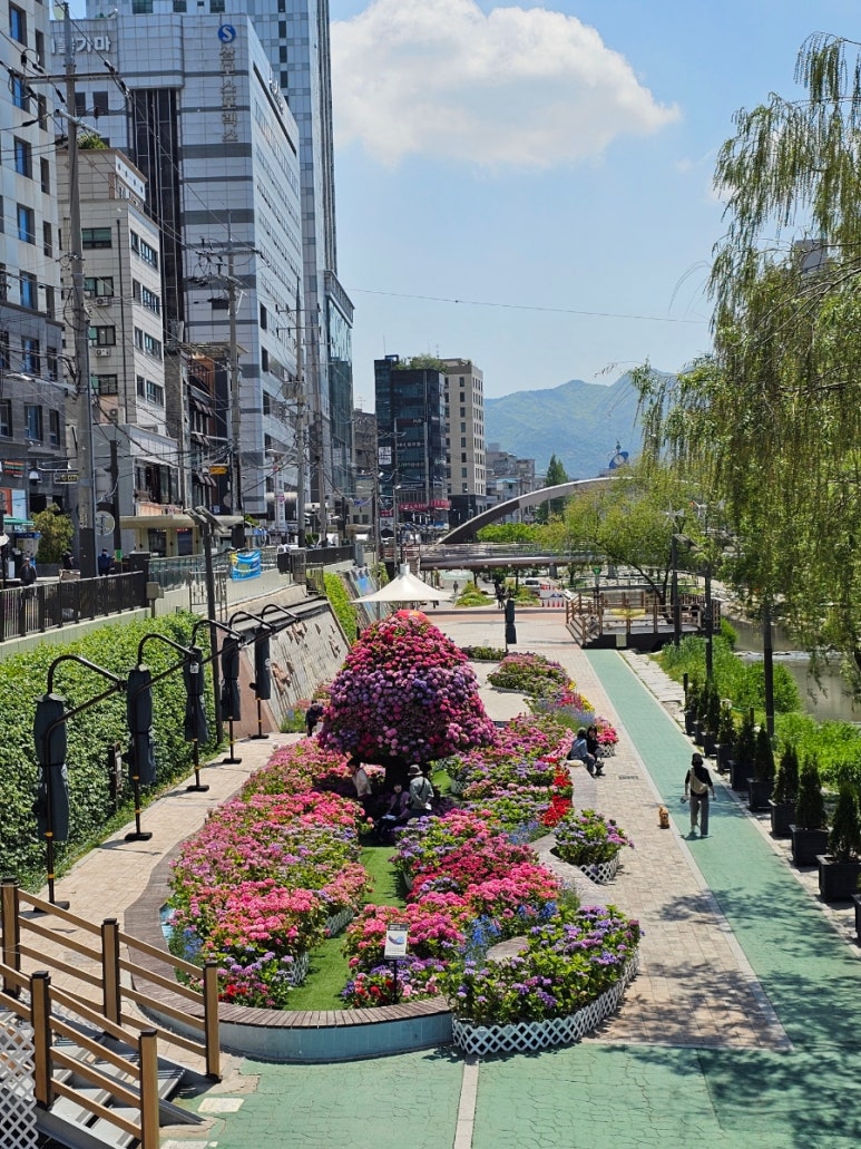 별빛내린천 수국공원