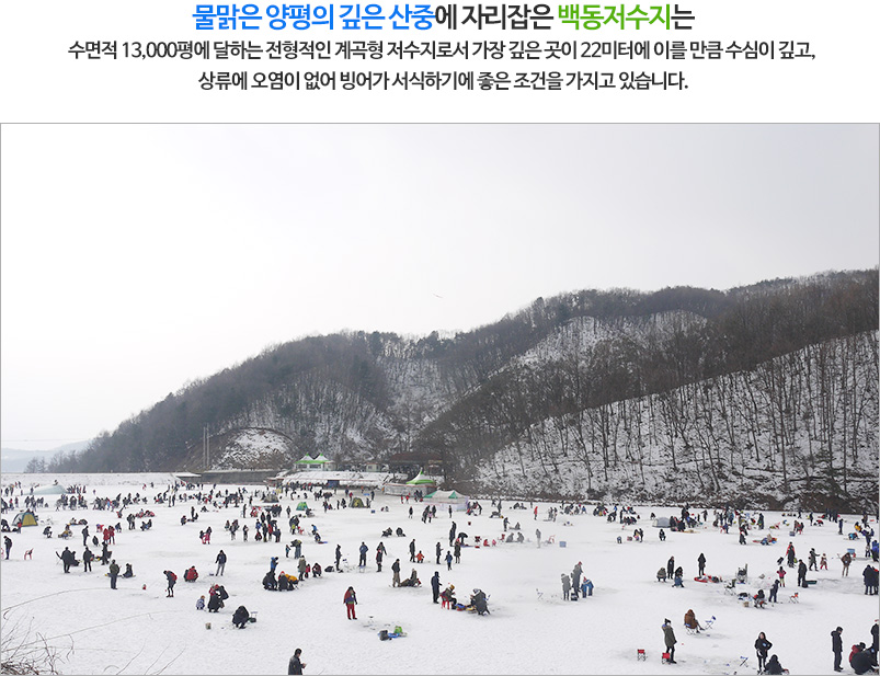 양평 빙어축제