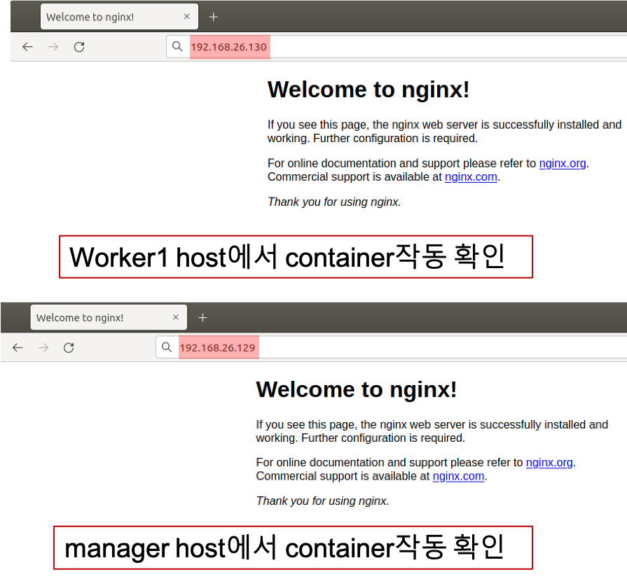 nginx check