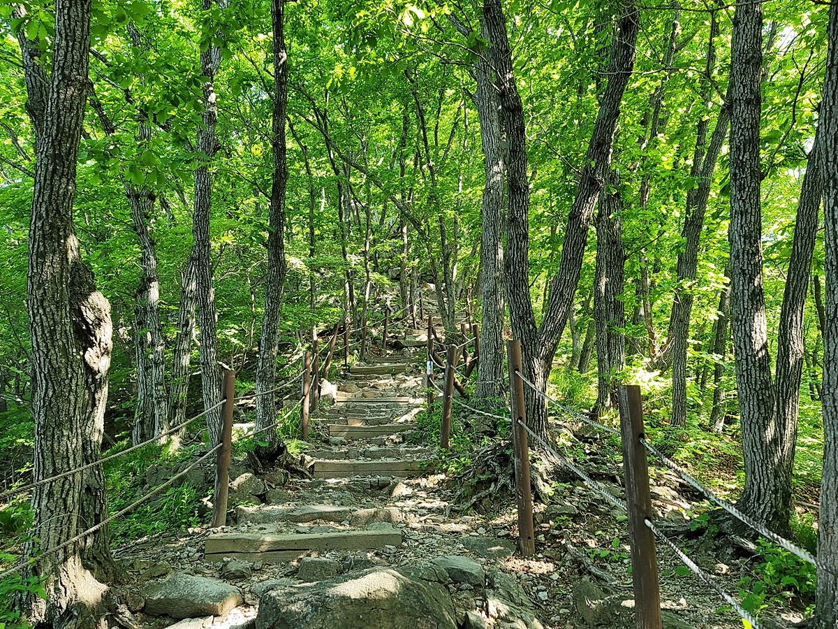소백산국립공원 희방제2주차장 이미지