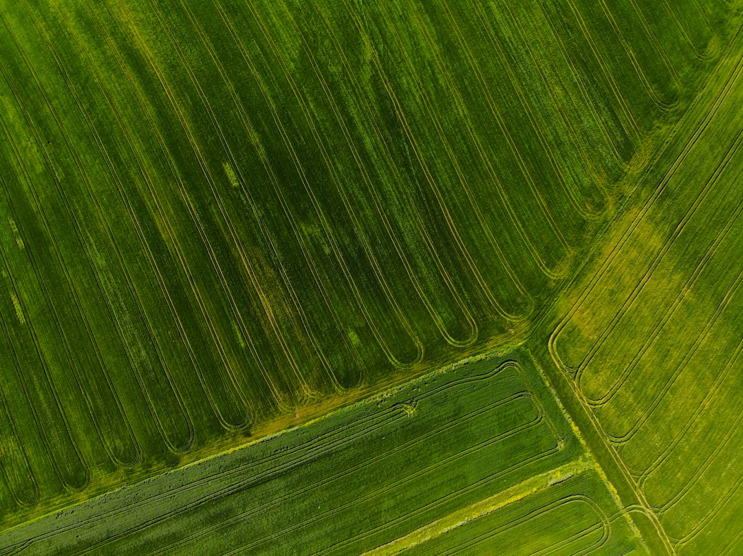 Crop