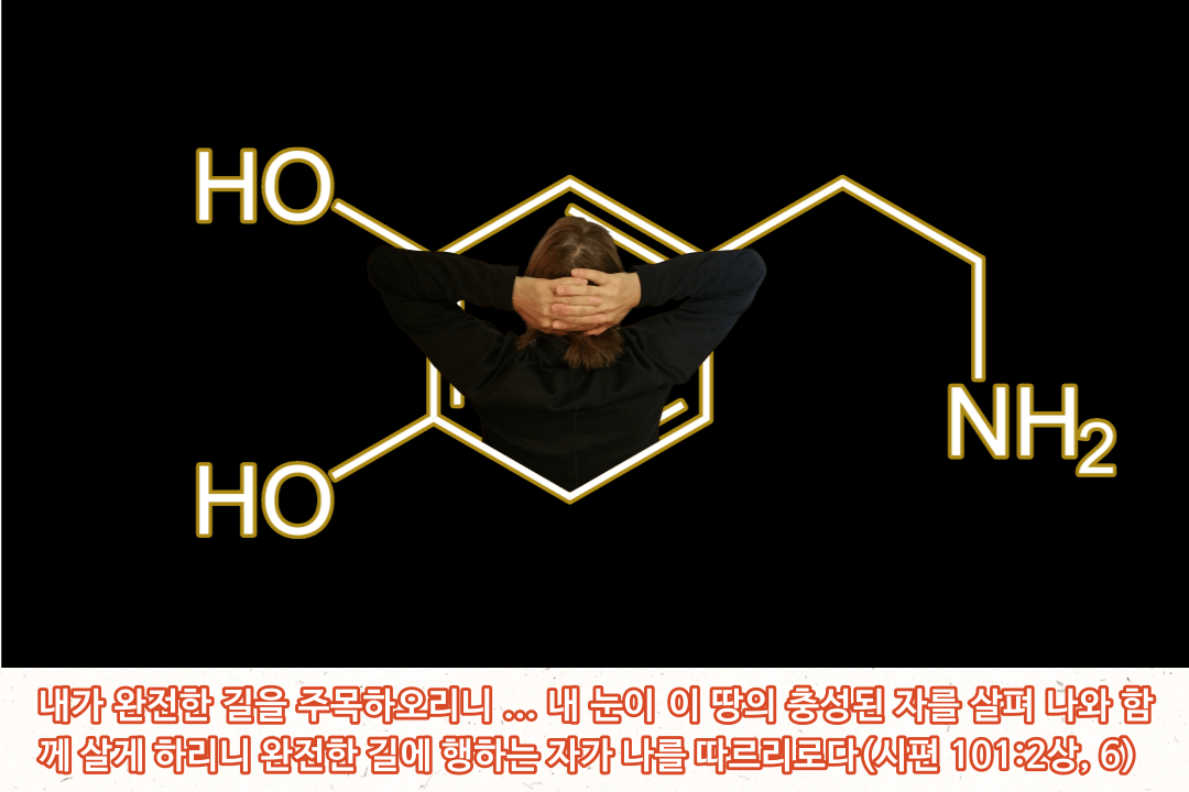 매일성경 &#124; 시편 101편 1-8절 &#124; 눈과 마음과 귀를 잘 관리하고자 하는 다윗&#44; 예수 그리스도와 함께 갈 수 없는 자들