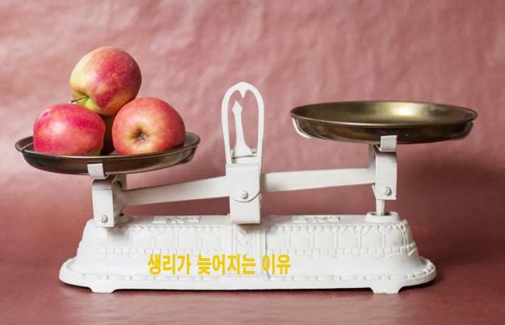  생리가 늦어지는 이유 체크