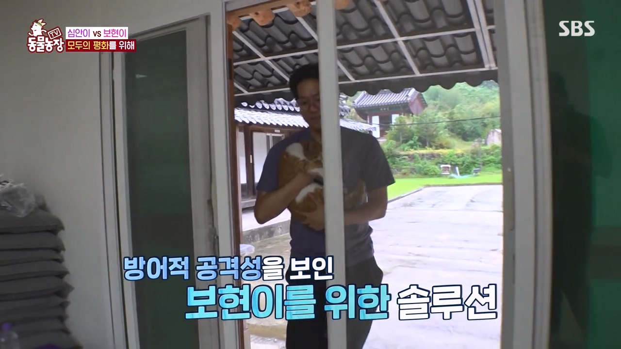 TV 동물농장.E1143.231030p-NEXT.mp4_20231029_161834.063.jpg