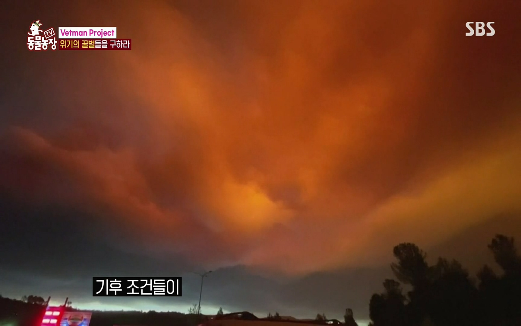 TV 동물농장.E1072.220605p.H264-F1RST.mp4_20220605_181209.487.jpg