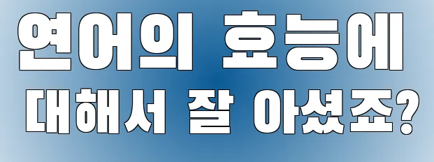 연어의 효능에 대해서 잘 아셨죠?