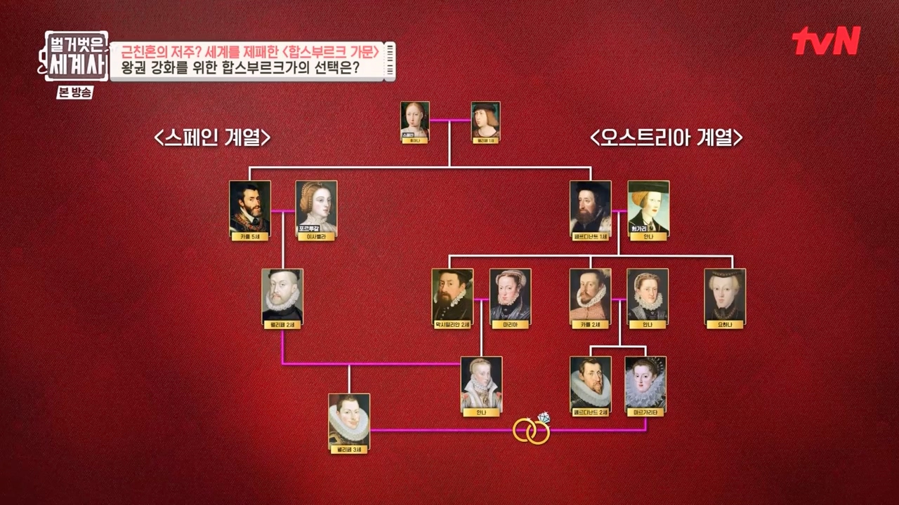 벌거벗은 세계사.E108.230719p-NEXT.mp4_20240211_140950.042.jpg