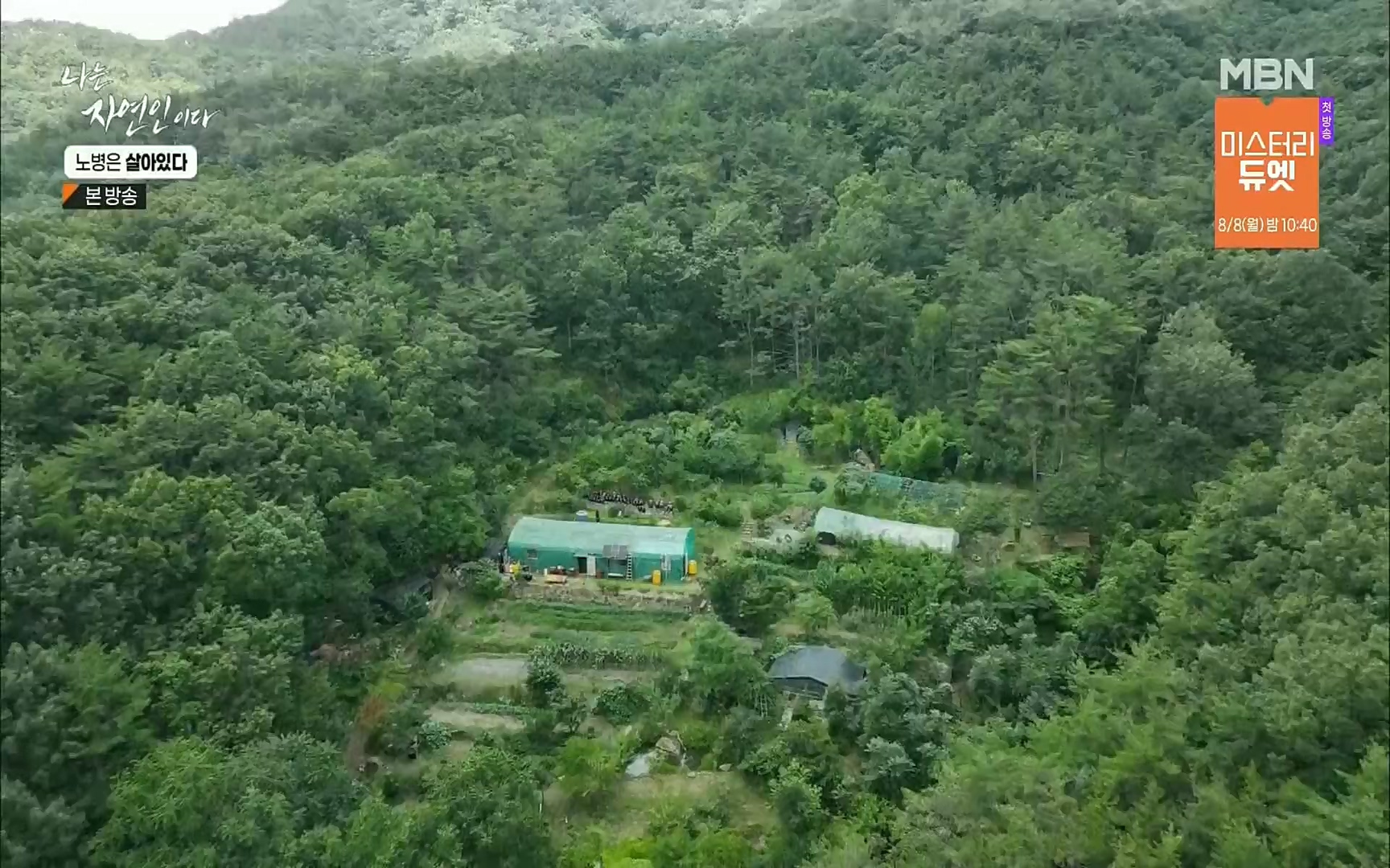 나는 자연인이다.E512.220727p.H264-F1RST.mp4_20220728_200901.667.jpg