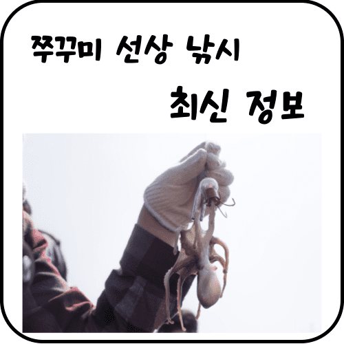 쭈꾸미 선상낚시 썸네일