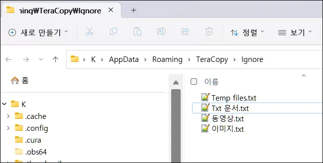 TeraCopy 필터 파일