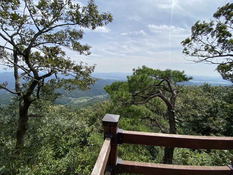 홍길동이 다녀간 29