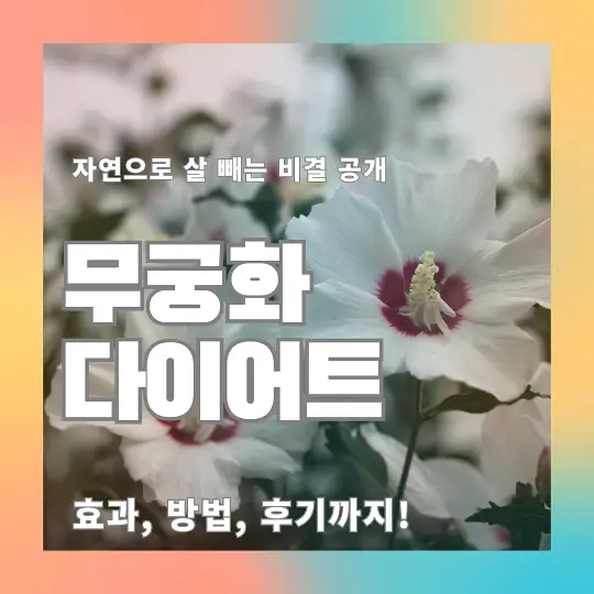 무궁화 다이어트
