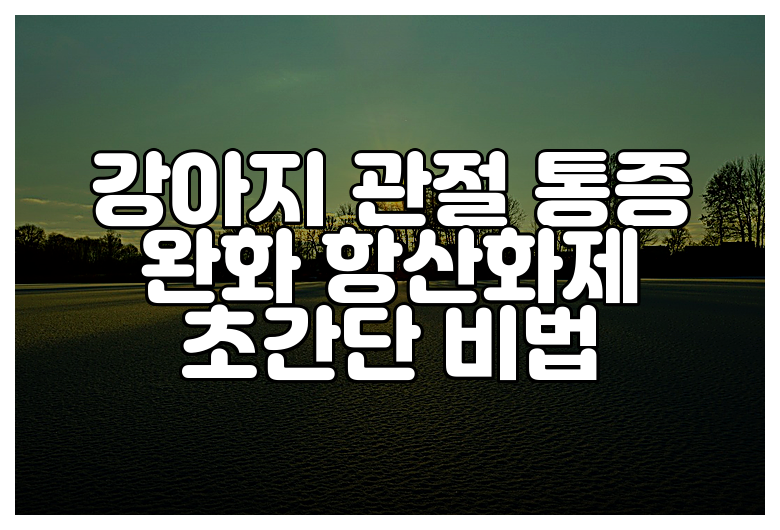 강아지 관절 통증 완화 항산화제 초간단 비법