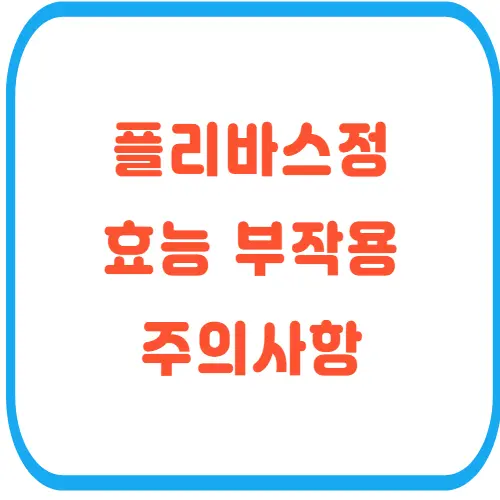 플리바스정