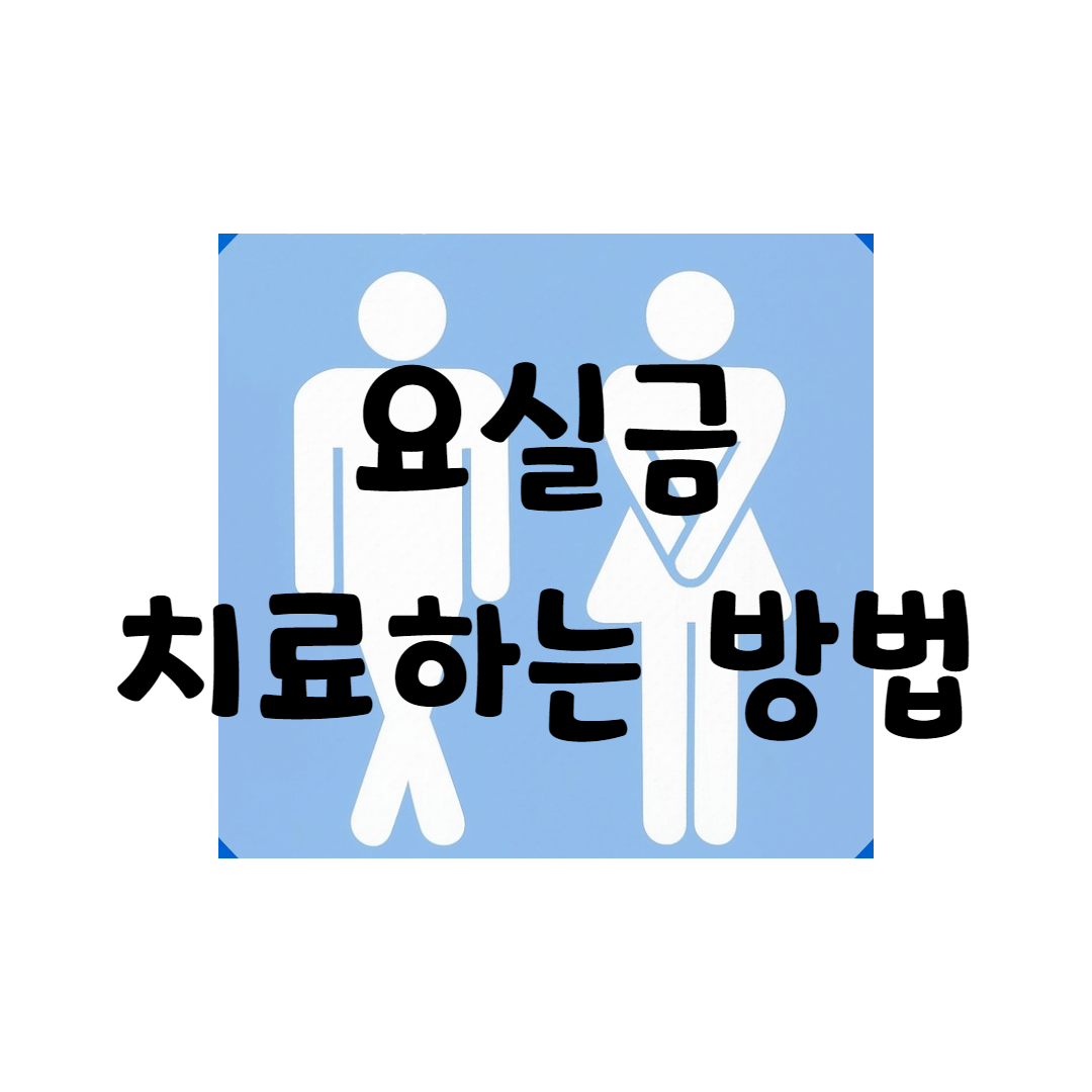  요실금 치료하는 방법
