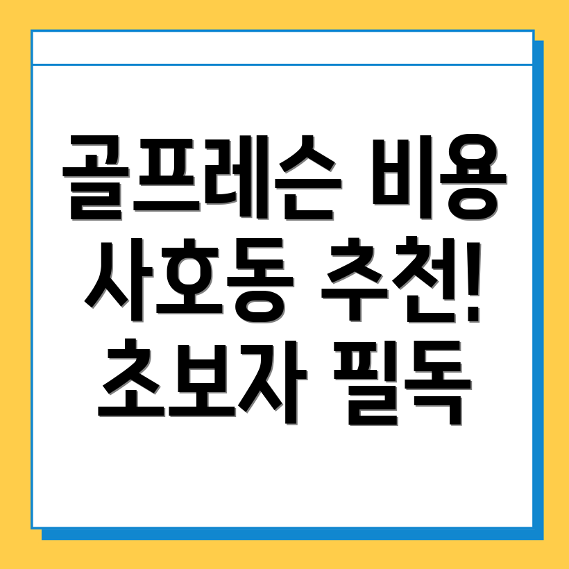 골프레슨 비용