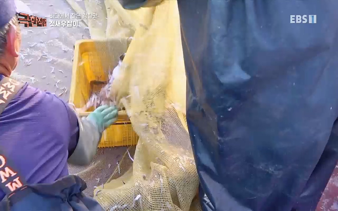 TV - 교육의 중심 EBS바다에서 찾은 감칠맛 새우젓과 다시마.mp4_20220717_175006.540.jpg