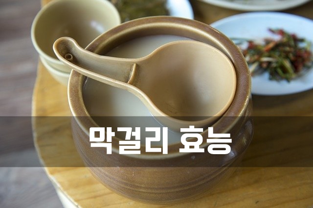  막걸리 효능