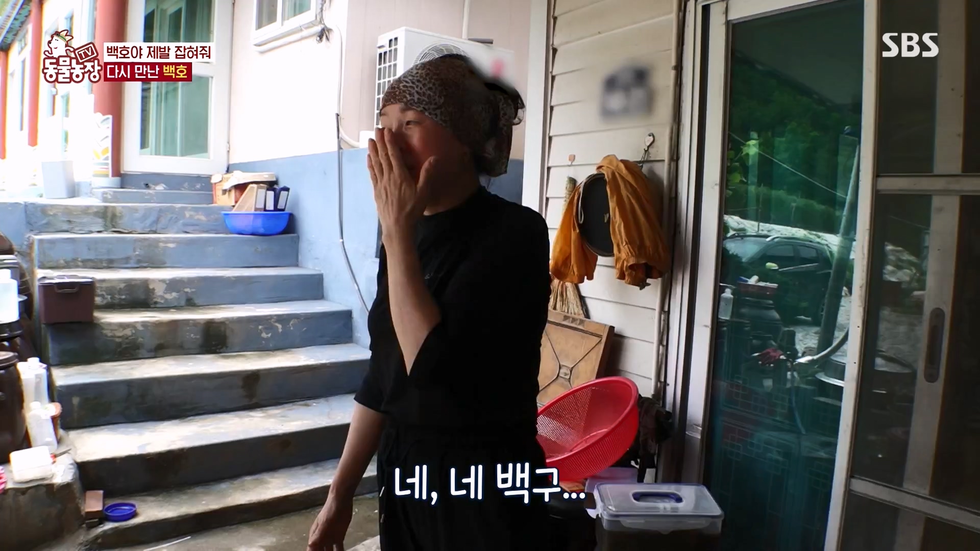 TV 동물농장.E1151.231224p-NEXT.mp4_20231224_154136.917.jpg