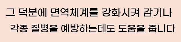  그 덕분에 면역체계를 강화시켜 감기나 각종 질병을 예방하는데도 도움을 줍니다