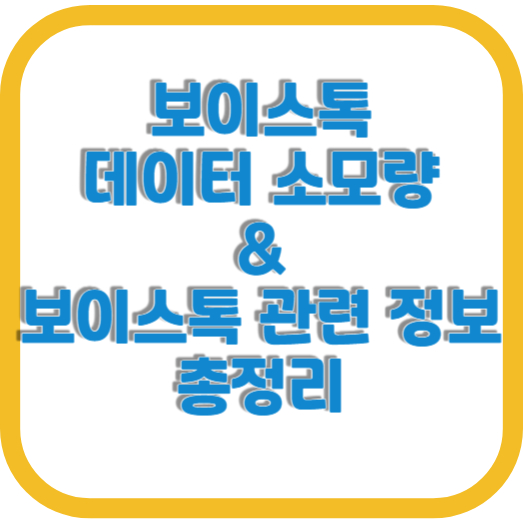 보이스톡 데이터