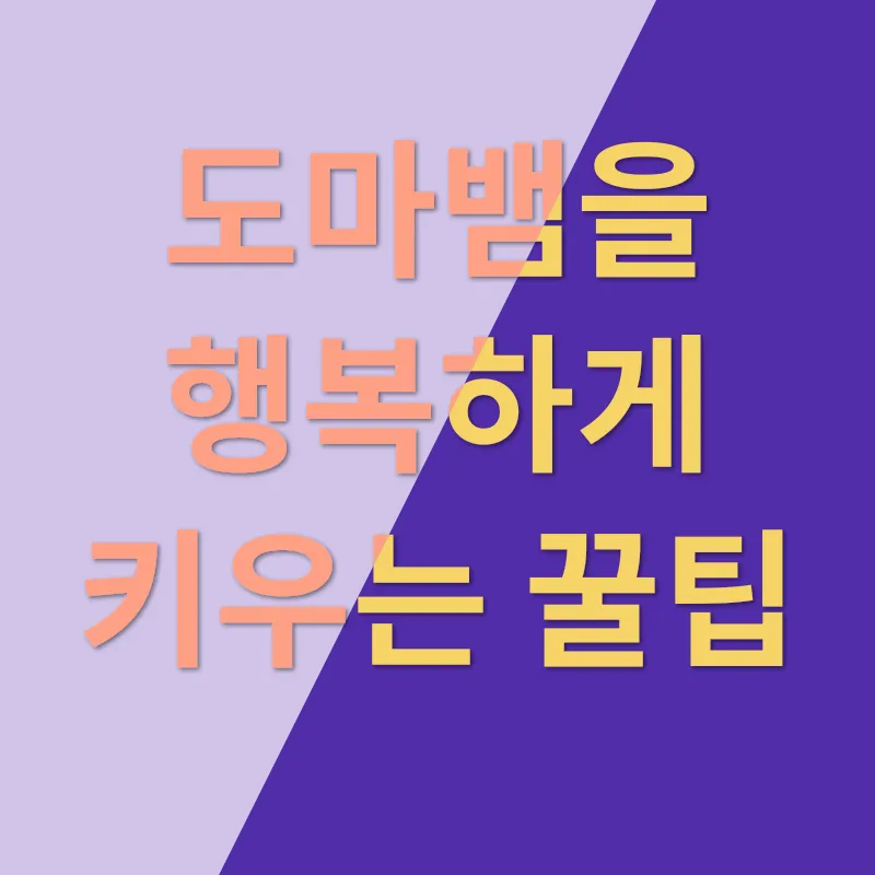 도마뱀 키우기_2